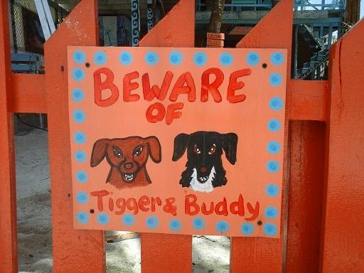 Yuma'S House Belize Hostel Caye Caulker ภายนอก รูปภาพ